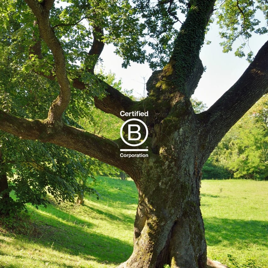 B-Corp zertifizierte nachhaltige Hotels - Stay Awesome setzt auf umweltfreundliche Unterkünfte